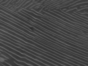 Microstruttura